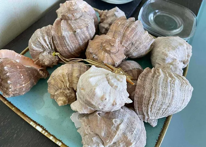 Gallery L * Слънчев бряг